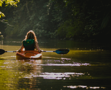 kayaks_MOL